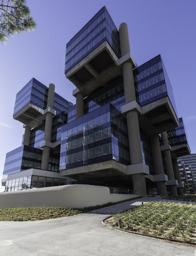 Mace Management Services SA - 