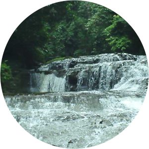 Mache-Chindul Ecological Reserve - Nature preserve in Ecuador