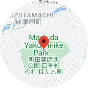 Machida Yakushi-ike Park Shikisainomori Peony Garden