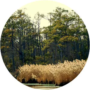 Mackay Island National Wildlife Refuge - Wildlife refuge in the United States of America