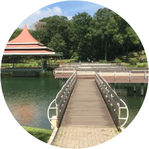 MacRitchie Reservoir photograph