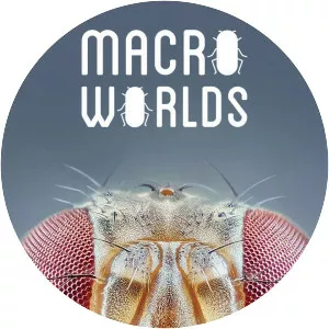 Macro Worlds - TV program