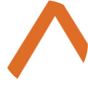 Mad Street Den Inc. - Company