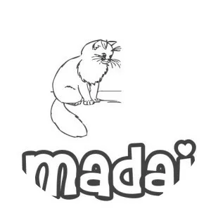 Madai - Japheth's son