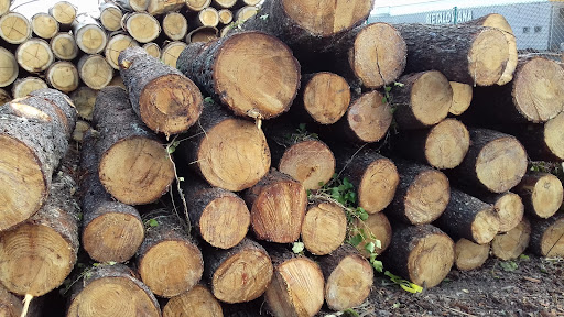 Madeiviana-sociedade Comercial De Madeiras De Viana Lda