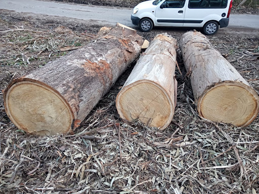 MADERAS FREIRE S.L. - 