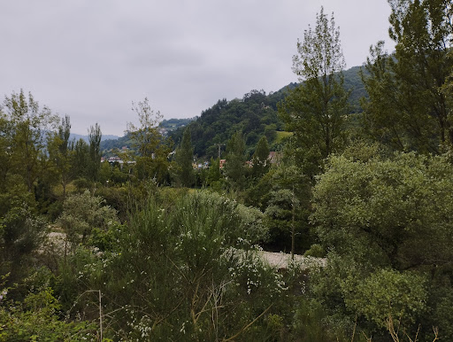 Maderas Virgilio Pascual, S.L. - 