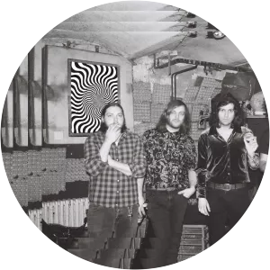 Madhouse Express - Musical artist