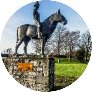 Máel Sechnaill mac Domnaill - Former High King of Ireland