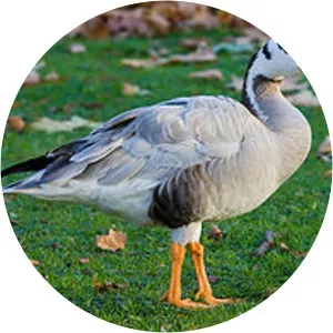 Magadi Bird Sanctuary