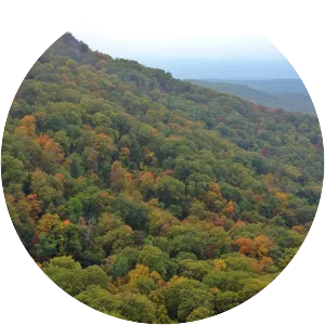 Magazine Mountain - Mountain in Arkansas