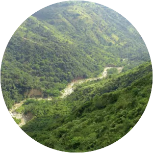 Magdalena River - River in Colombia