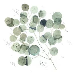 Maggie Chiang - Taiwanese singer