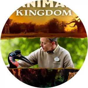 Magic of Disney's Animal KingdomSince 2020
