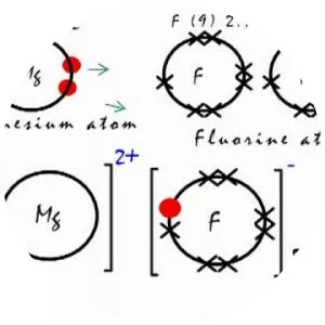 Magnesium fluoride - Chemical compound