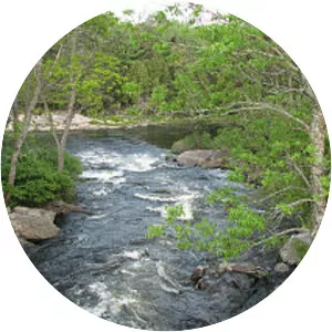 Magnetawan River Provincial Park - 
