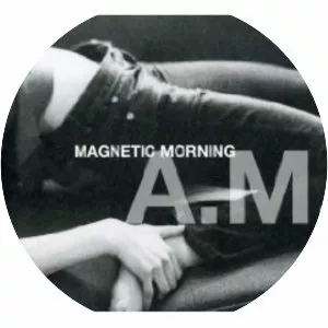 Magnetic Morning