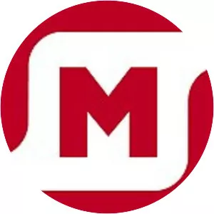 Magnit - Retail company