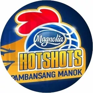Magnolia Hotshots