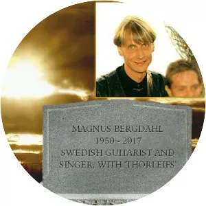 Magnus Bergdahl Musician