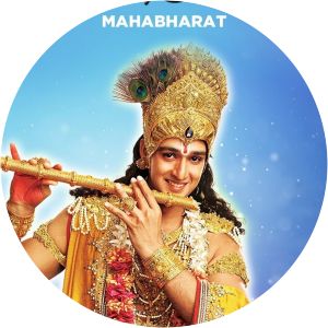 mahabharat 2013