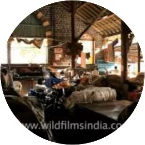 Mahatma Jyotiba Phule Mandai - 