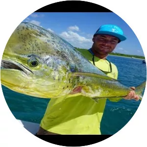 Mahi-mahi - Fish