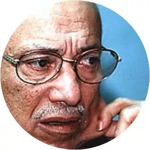 Mahmoud el Saadani - Egyptian writer