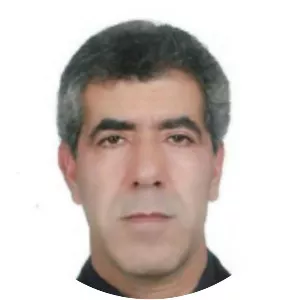 Mahmud Fotuhi Firuzabad