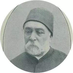 Mahmud Nedim Pasha - Statesman
