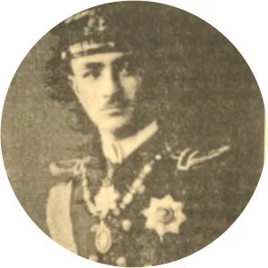 Mahmud Şevket Efendi