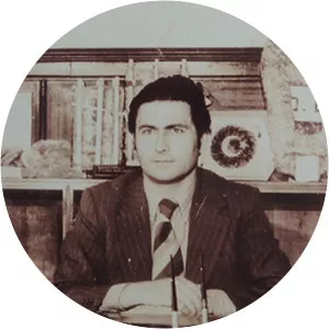 Mahmut Türkmenoğlu - Politician