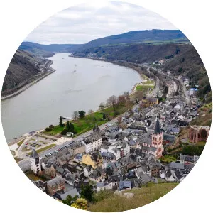 Mainz-Bingen