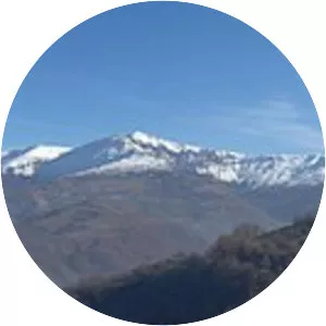 Maja e zezë (Maja e Zezë)