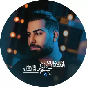 Majid Razavi - Musical artist