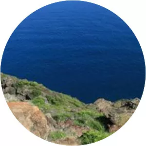 Makapuu Beach Park - 