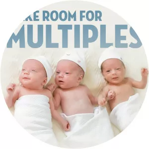 Make Room for MultiplesSince 2009