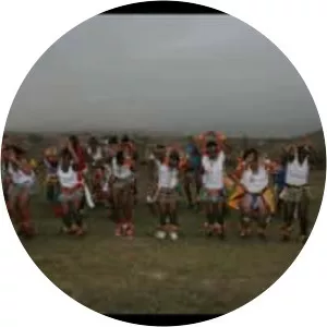 Makhalenkonxeni - Musical artist