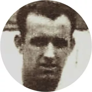 Maksimilijan Mihelčič