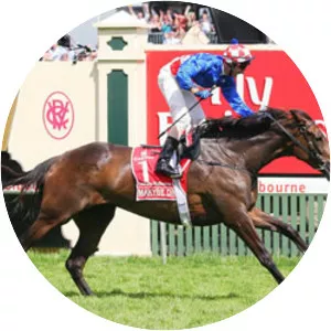 Makybe Diva