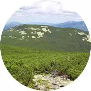 Mala Popadya - Mountain in Ukraine