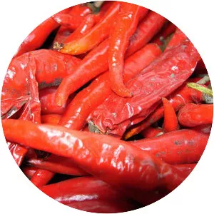 Malagueta pepper - Plants