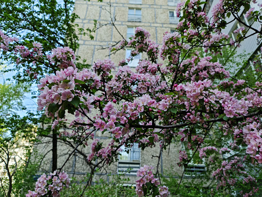 Malakhitovaya St - Bus station in Moscow, Russia