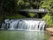 Malanda Falls - 