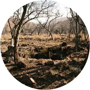 Malapa Fossil Site, Cradle of Humankind - Cave