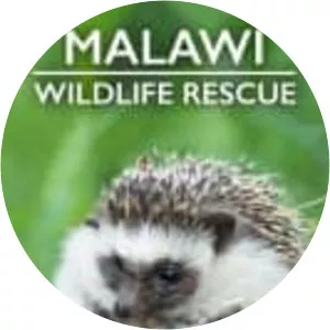 Malawi Wildlife Rescue - TV program