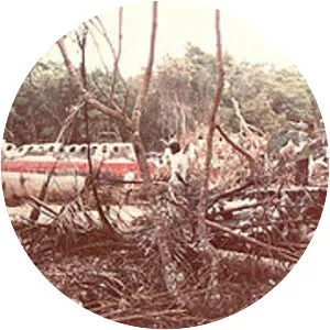 Malaysian Airline System Flight 684