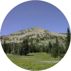Malheur National Forest