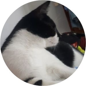 Malik Zhurinov photograph