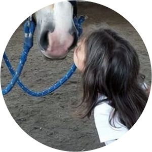 malkia park ranč black white horse